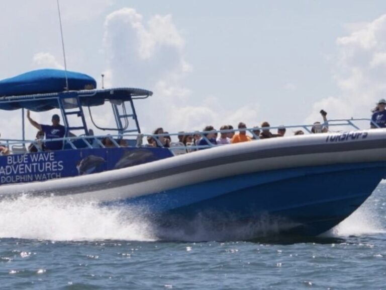 Blue Wave Adventures Dolphin Watch Tour