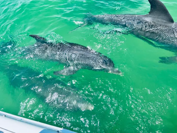 Patriot Marine USA Boat Charters