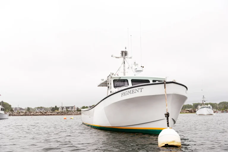 Clandestino Fishing charters
