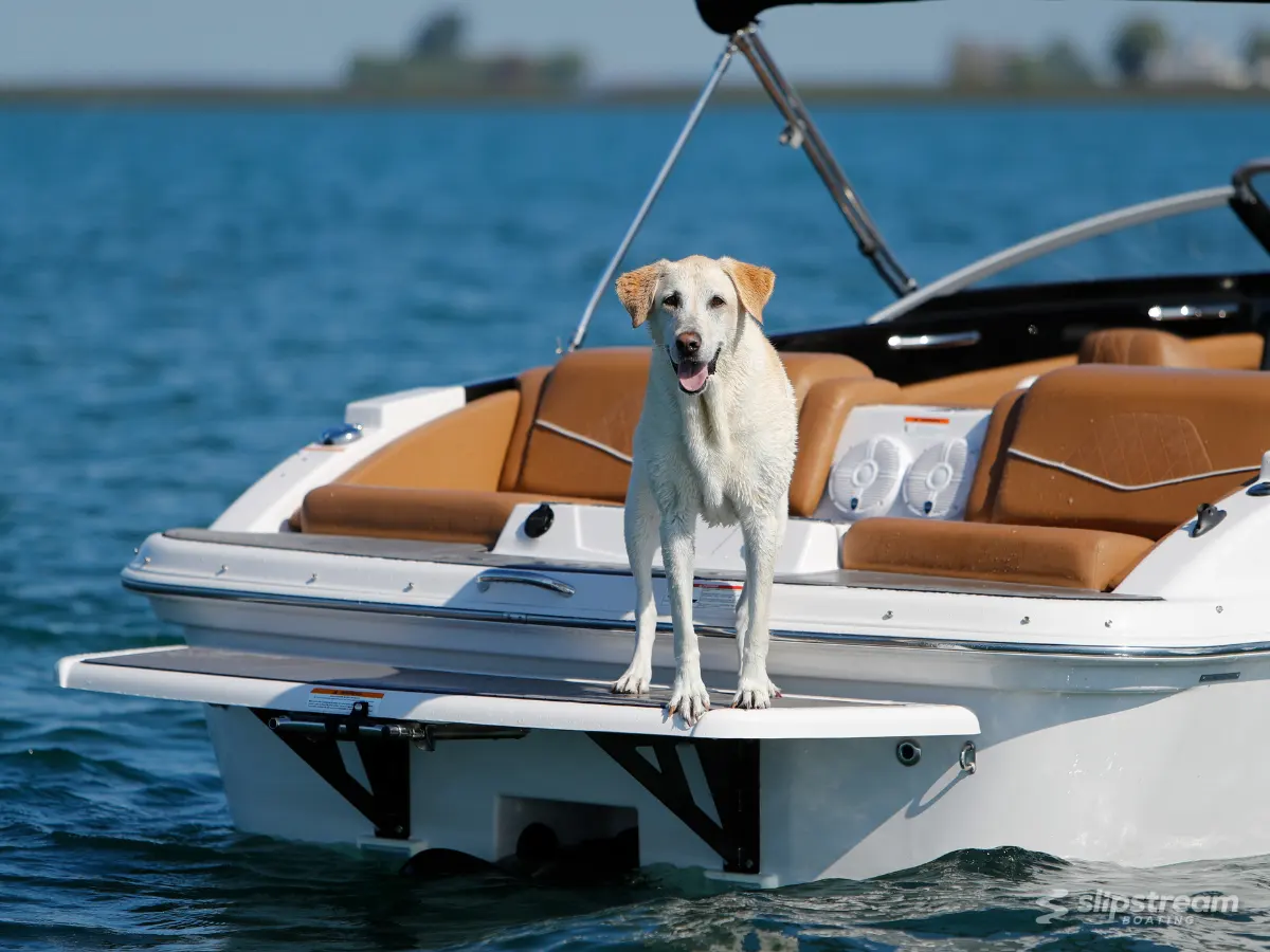 Spencer’s Boat Yard