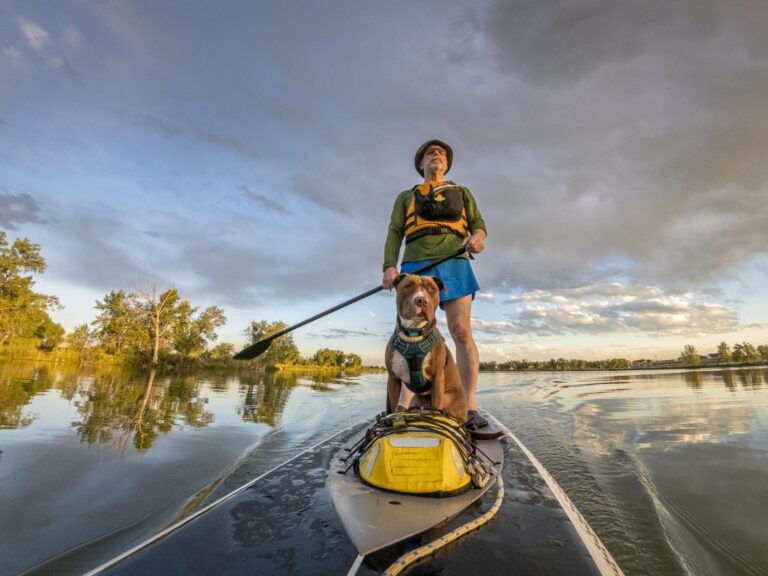 The Paddle Shack