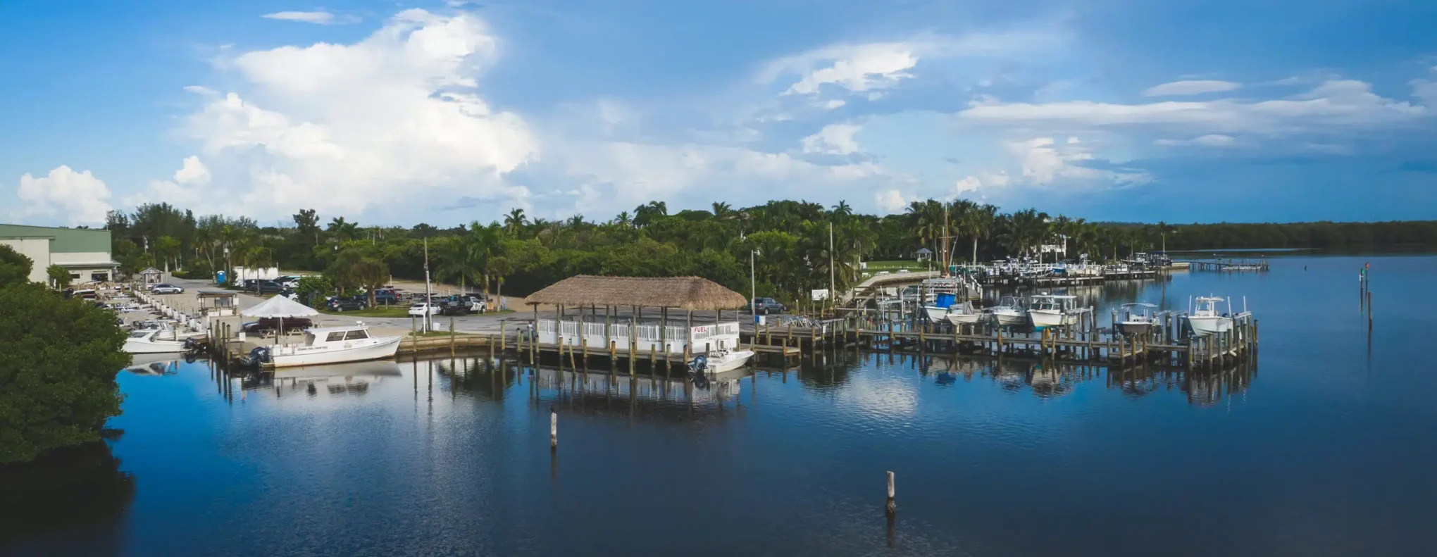 Safe Harbor Pineland