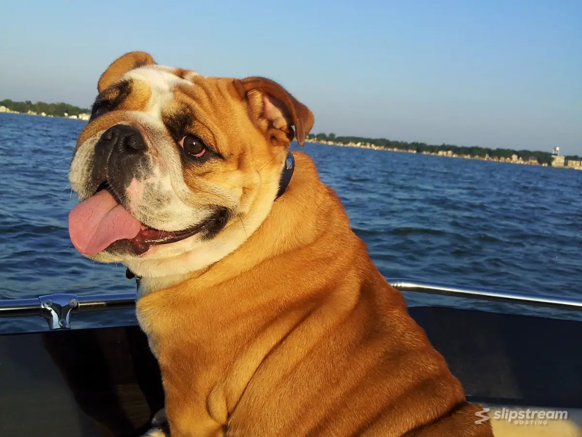 Tri-County Boat Rental