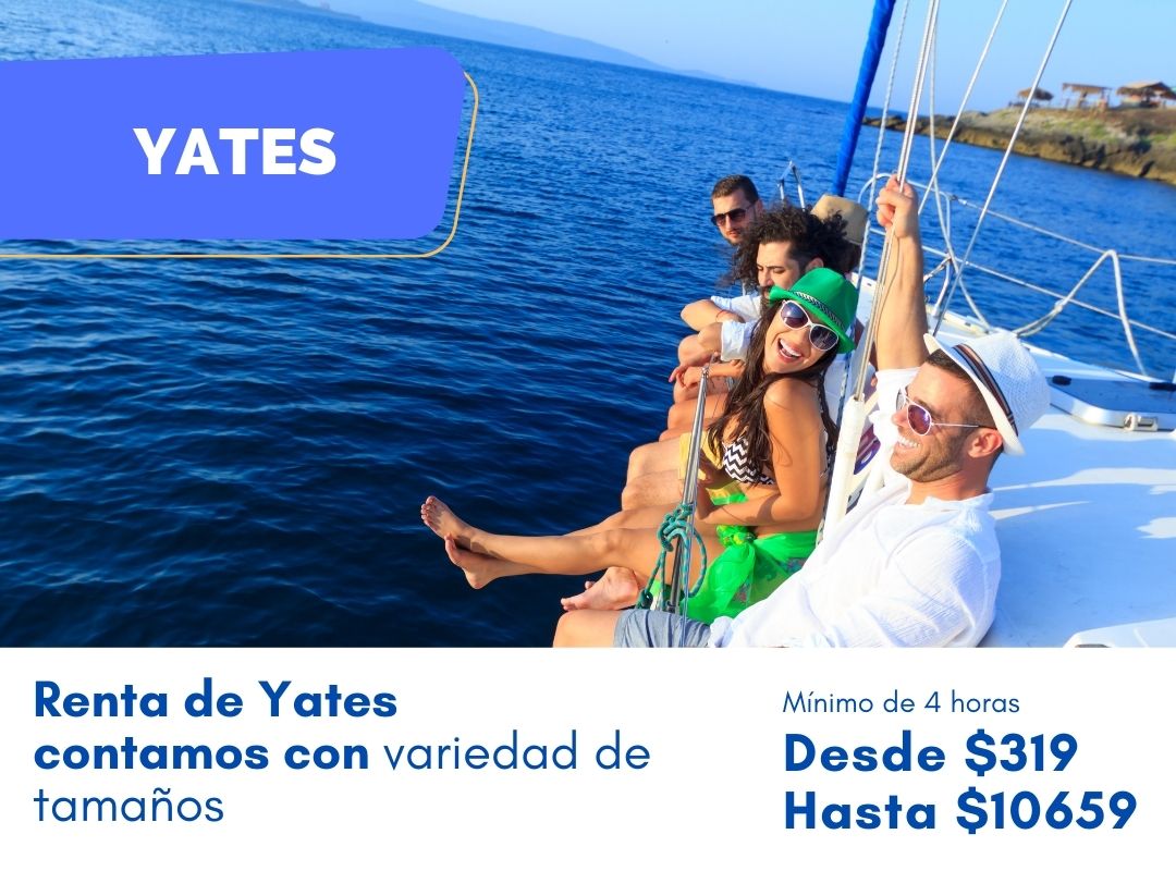 VIP Miami Rental and tours