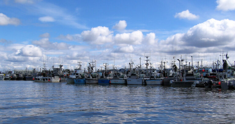 Dillingham Boat Harbor
