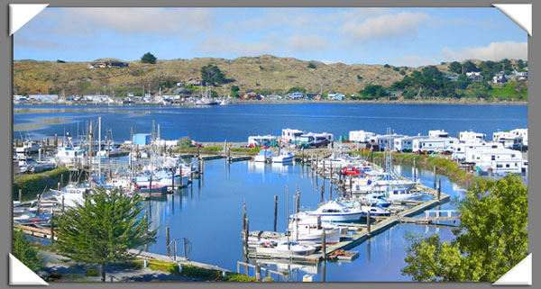 Porto Bodega Marina and RV Park