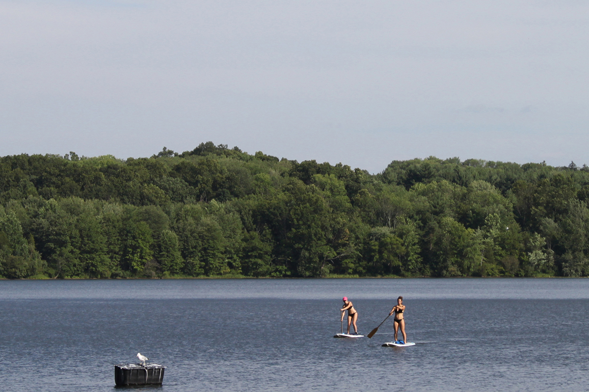 Nockamixon Boat Rental