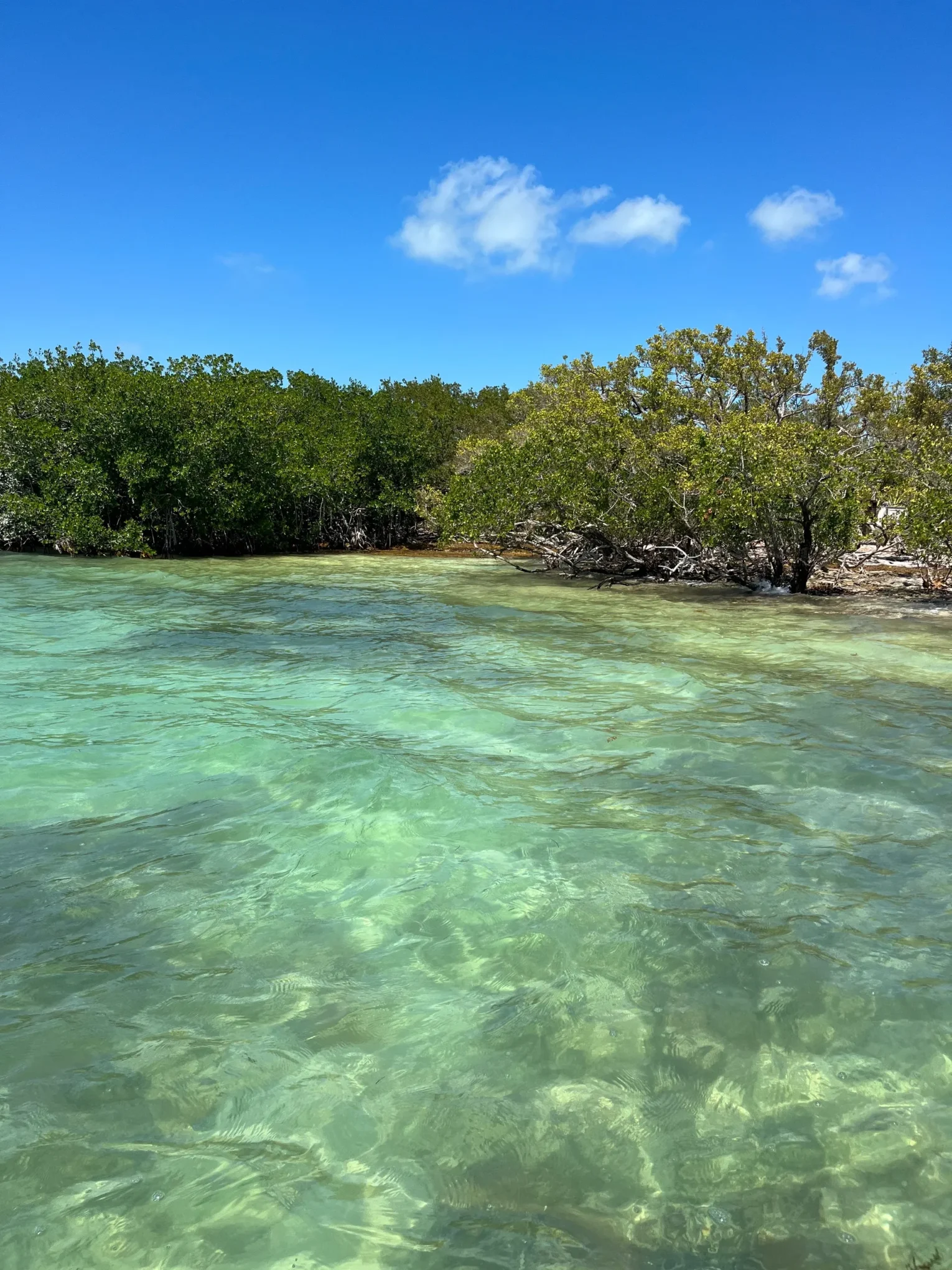 Florida Keys Boat Rentals of Islamorada