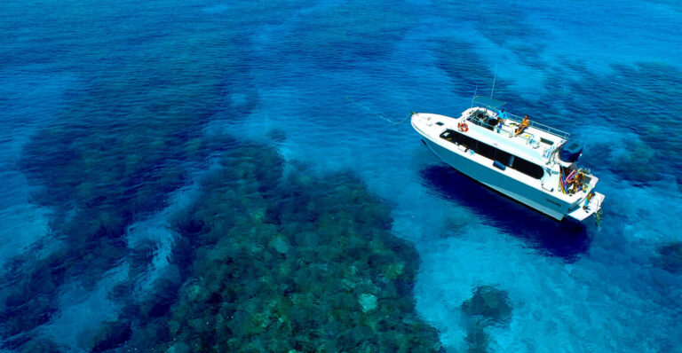 Maui Boat Trips