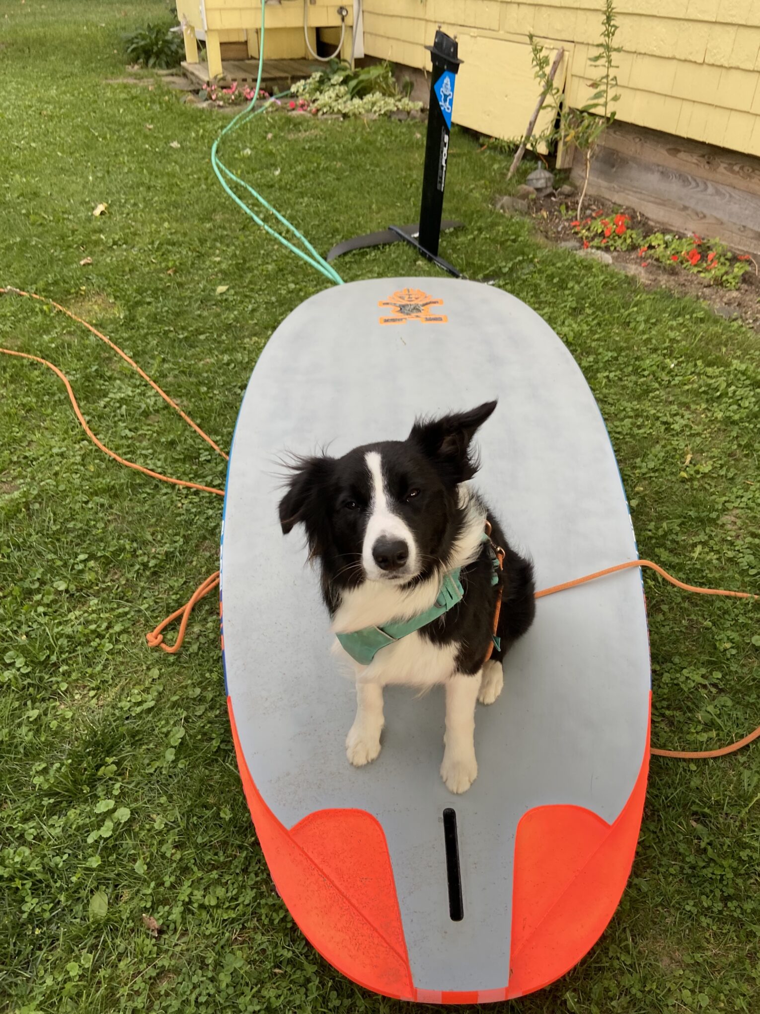 San Diego Association of Yacht Clubs