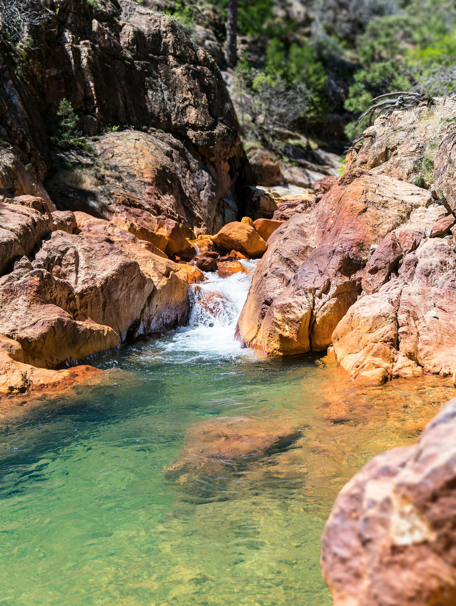 Shasta Marina at Packers Bay