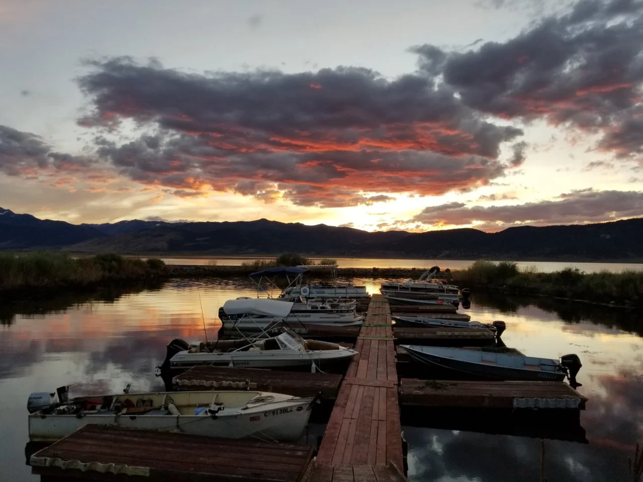 Bridgeport Reservoir Marina & Campground