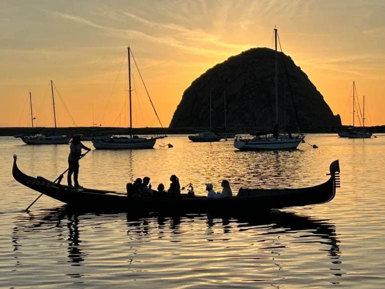 Central Coast Gondola