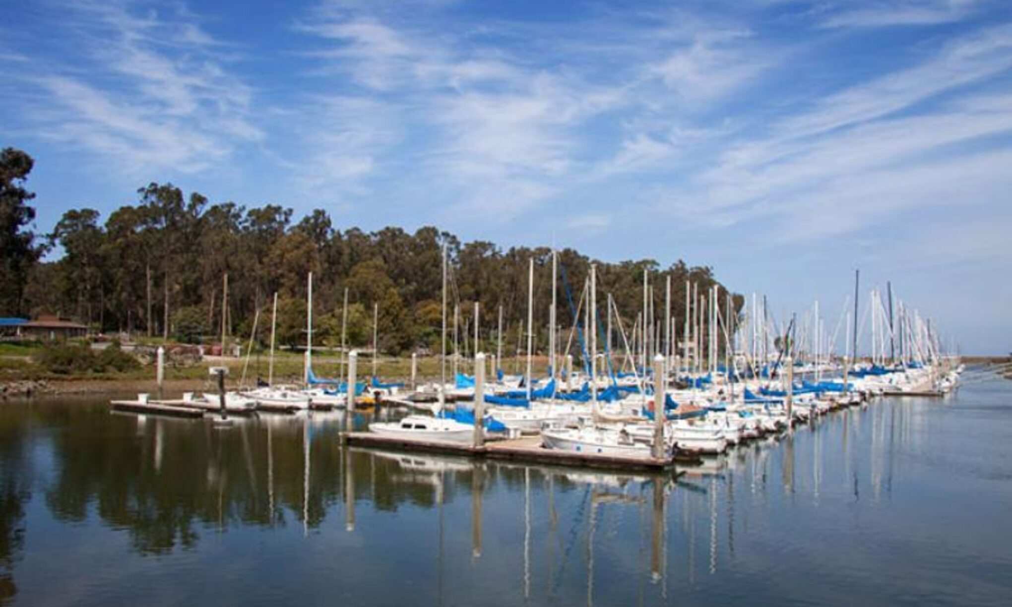 Coyote Point Marina
