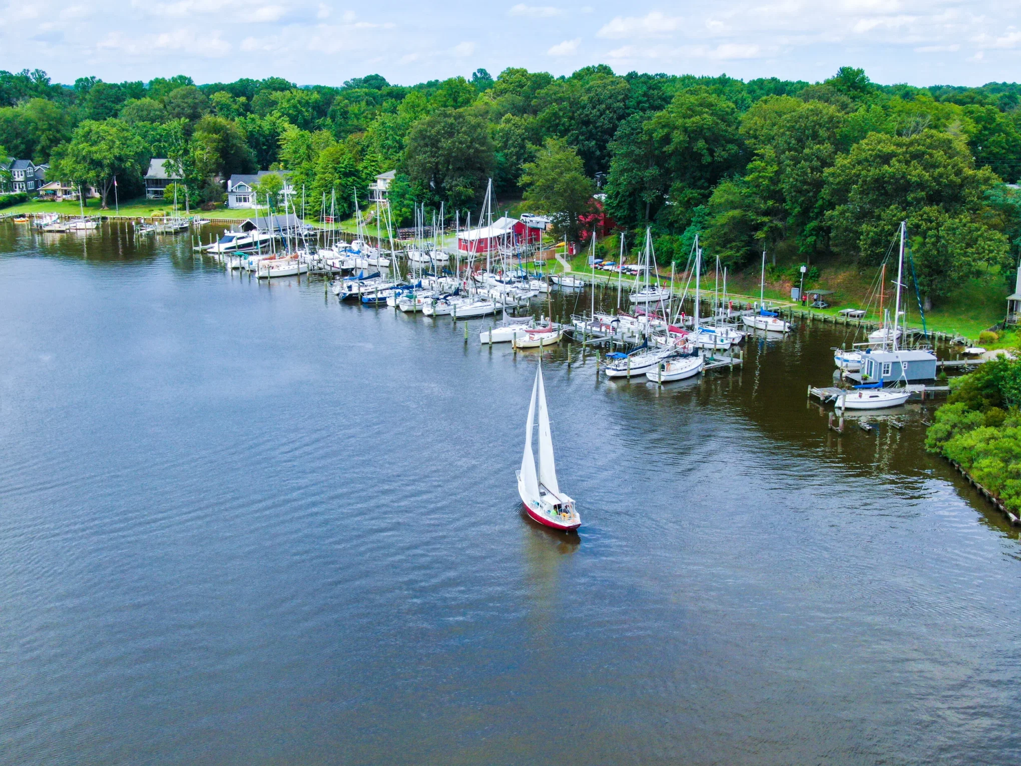 Harmony Marina – photo 1 of 5