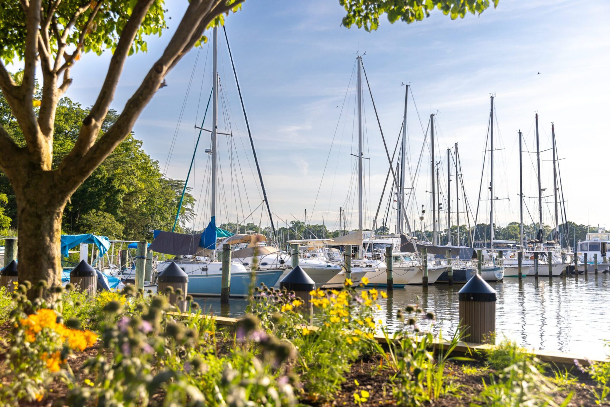 Port Annapolis Marina