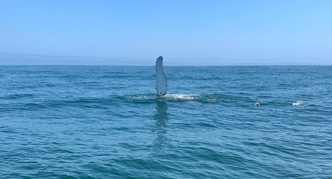 Santa Cruz Boat Rentals