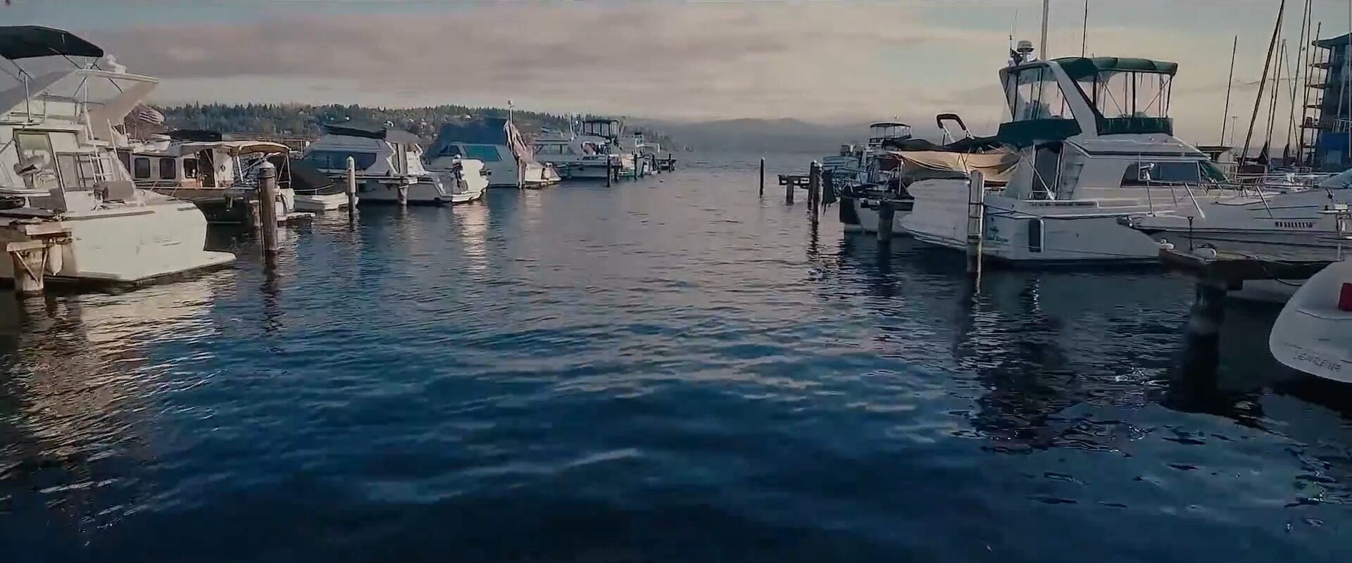 Parkshore Marina