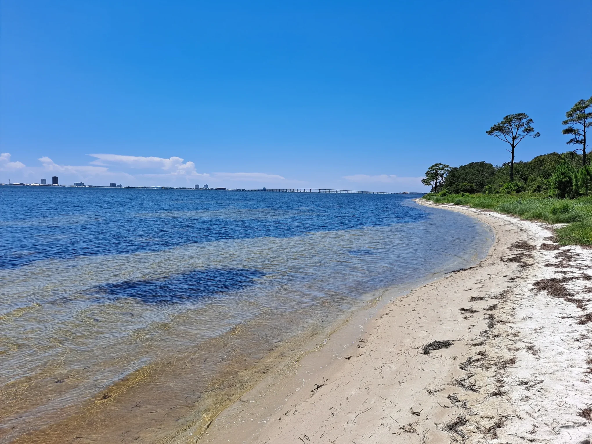 Gulf coast pontoon rental