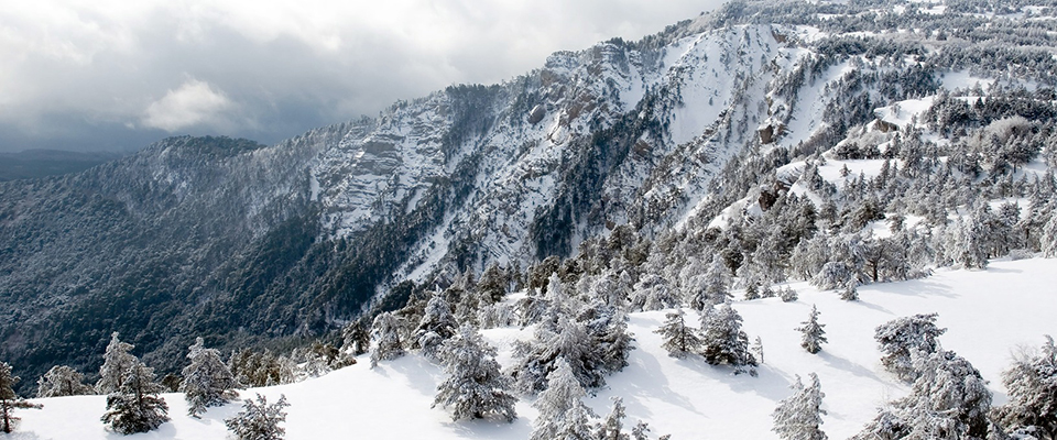 Aqua Toys Distributors Corporation