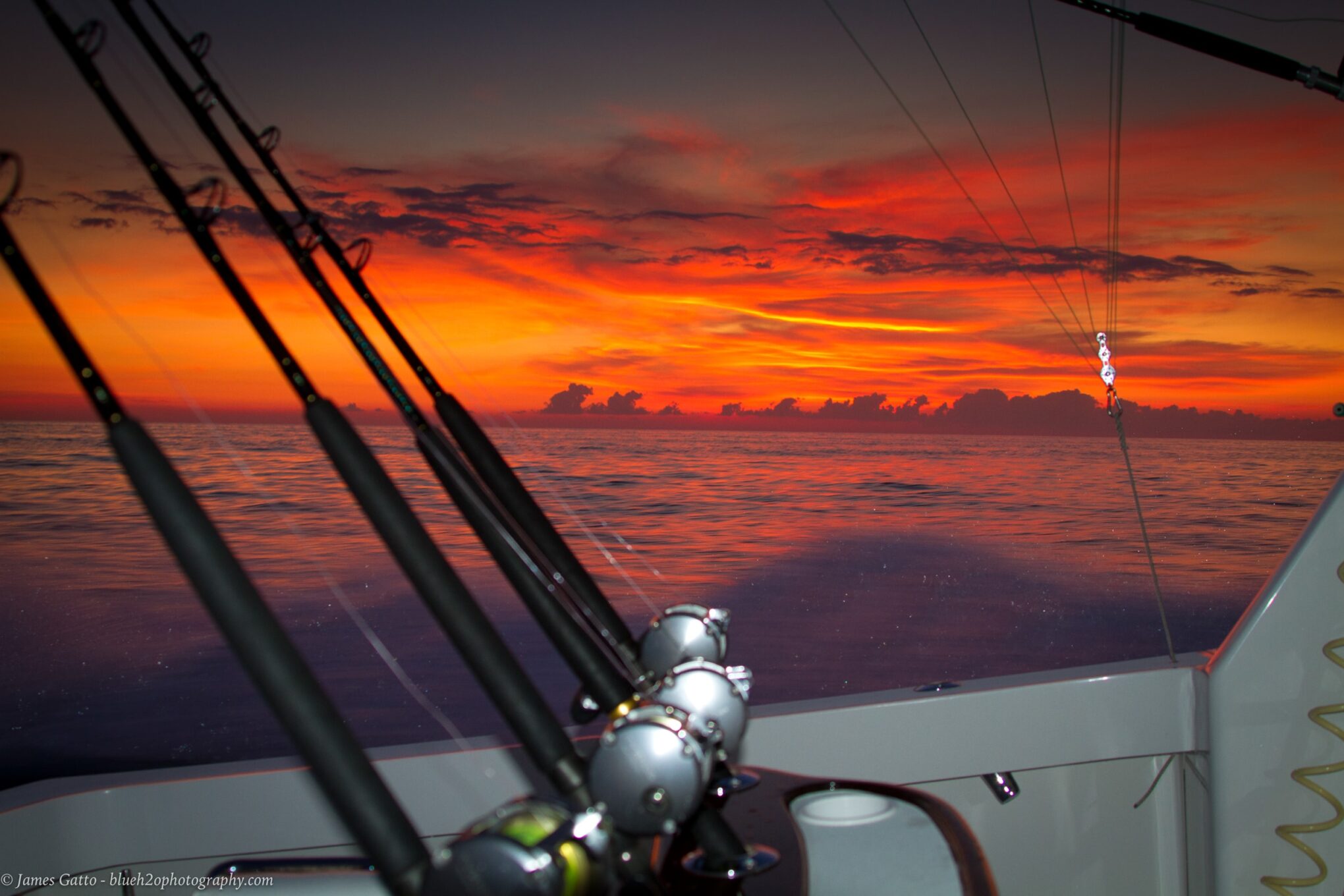 Cape May Marlin & Tuna Club