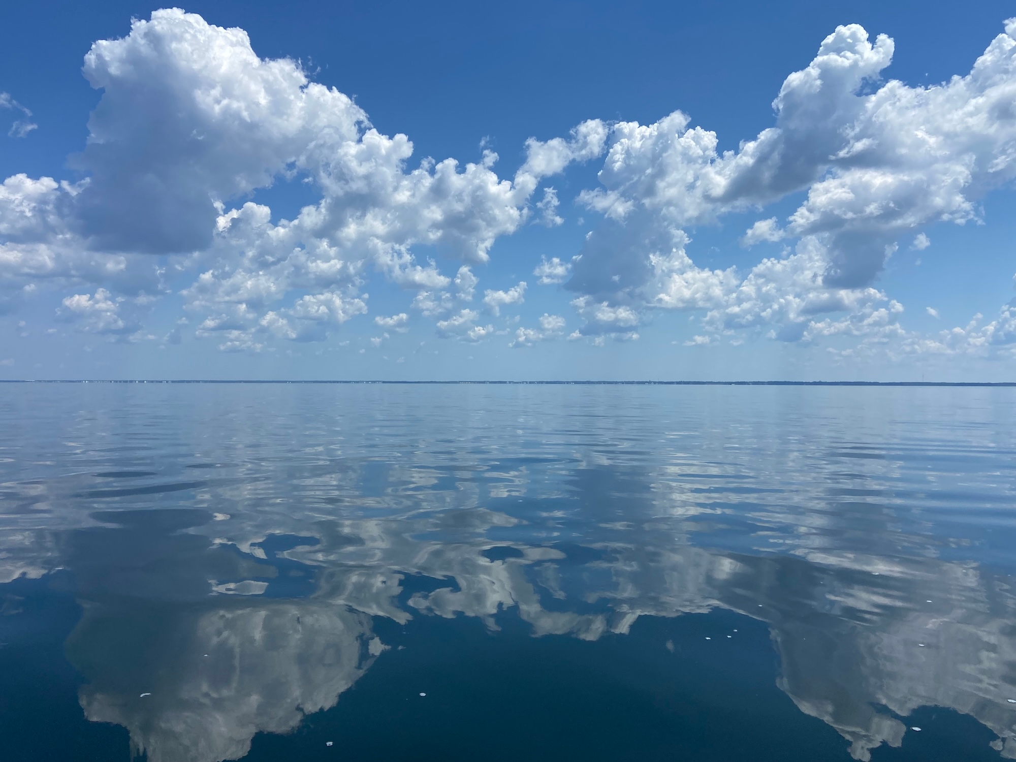 Scallop Cove Too and Pontoon / Kayak Rentals