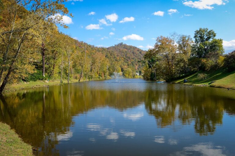Pond and Paddle