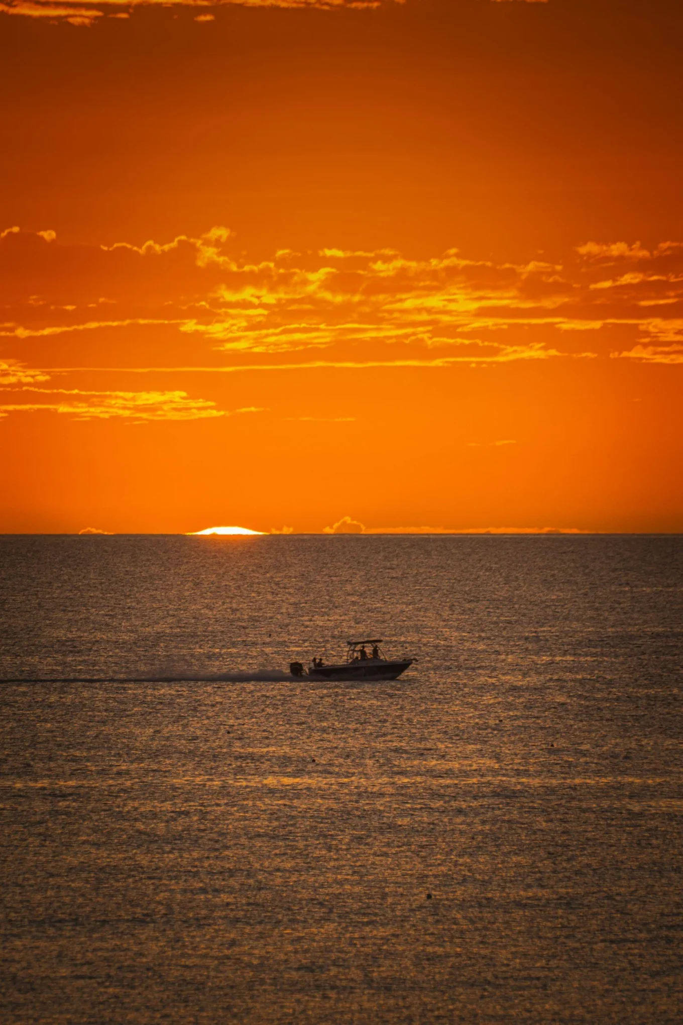 FMS Florida Boat Tours Cape Coral