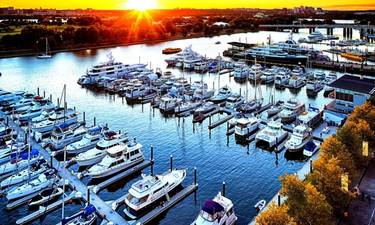Oasis Boat Club