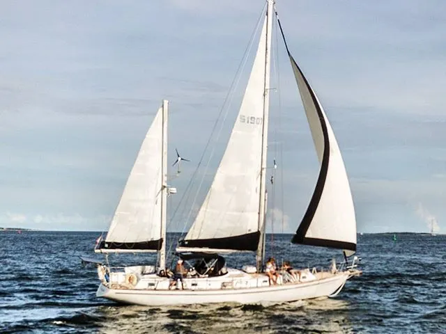Sundog Sailing & Nature Tours Charleston