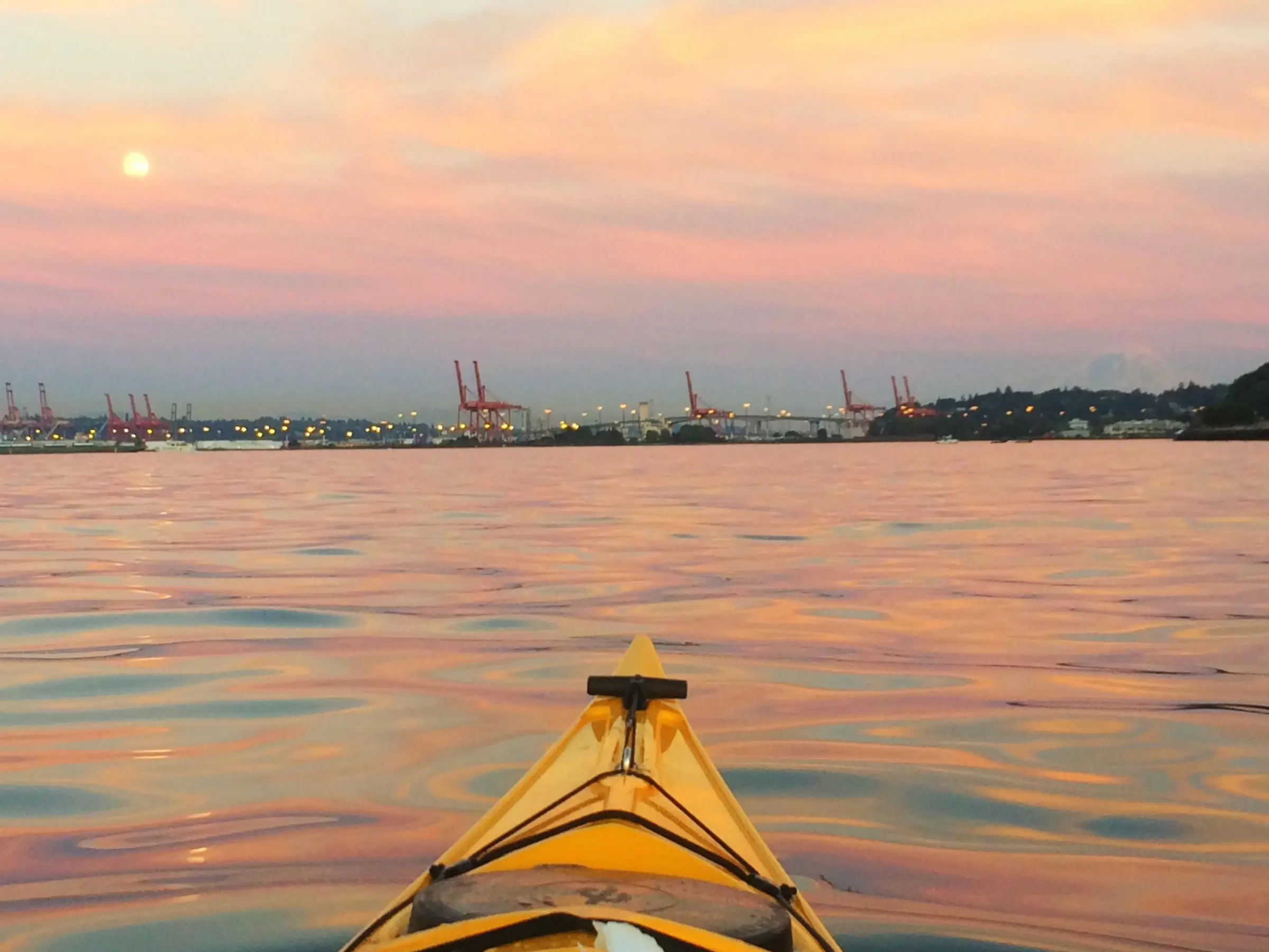 Alki Kayak Tours
