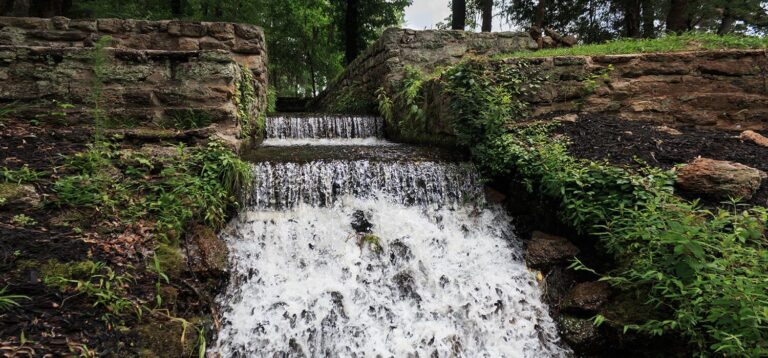 Poinsett State Park
