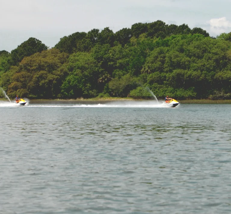 Sea Monkeys Watersports