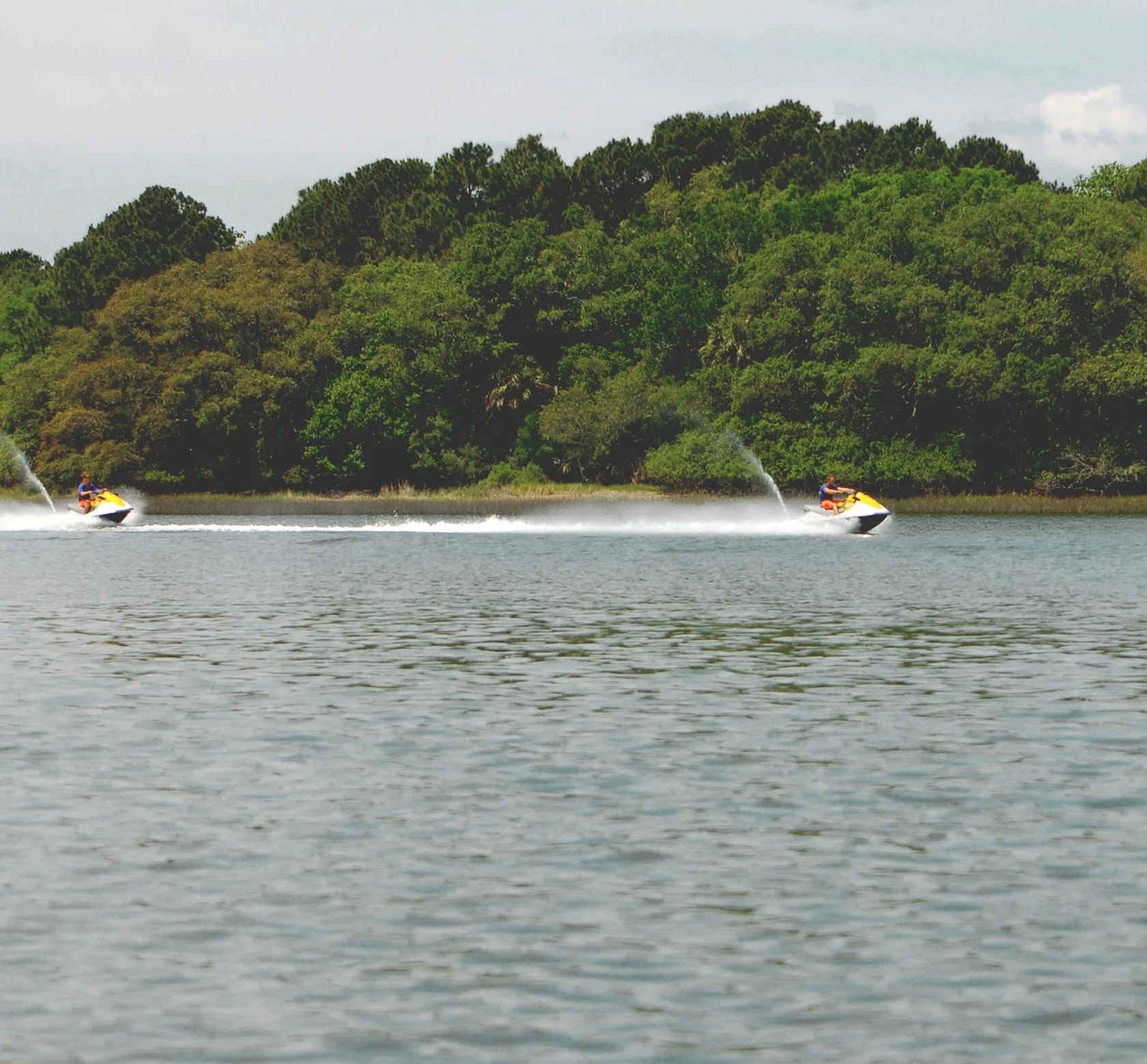 Sea Monkeys Watersports