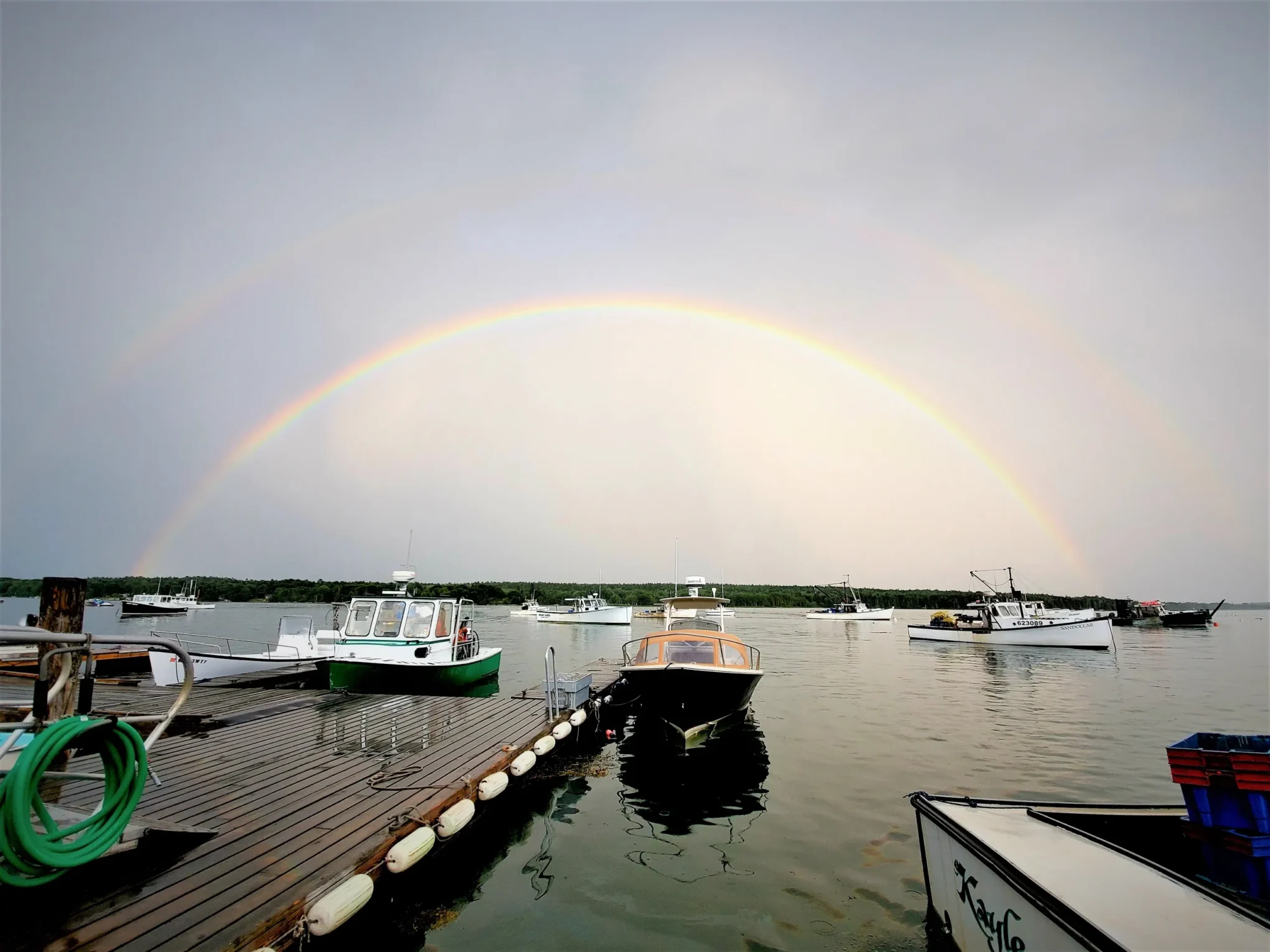 Broad Cove Marine Services Inc