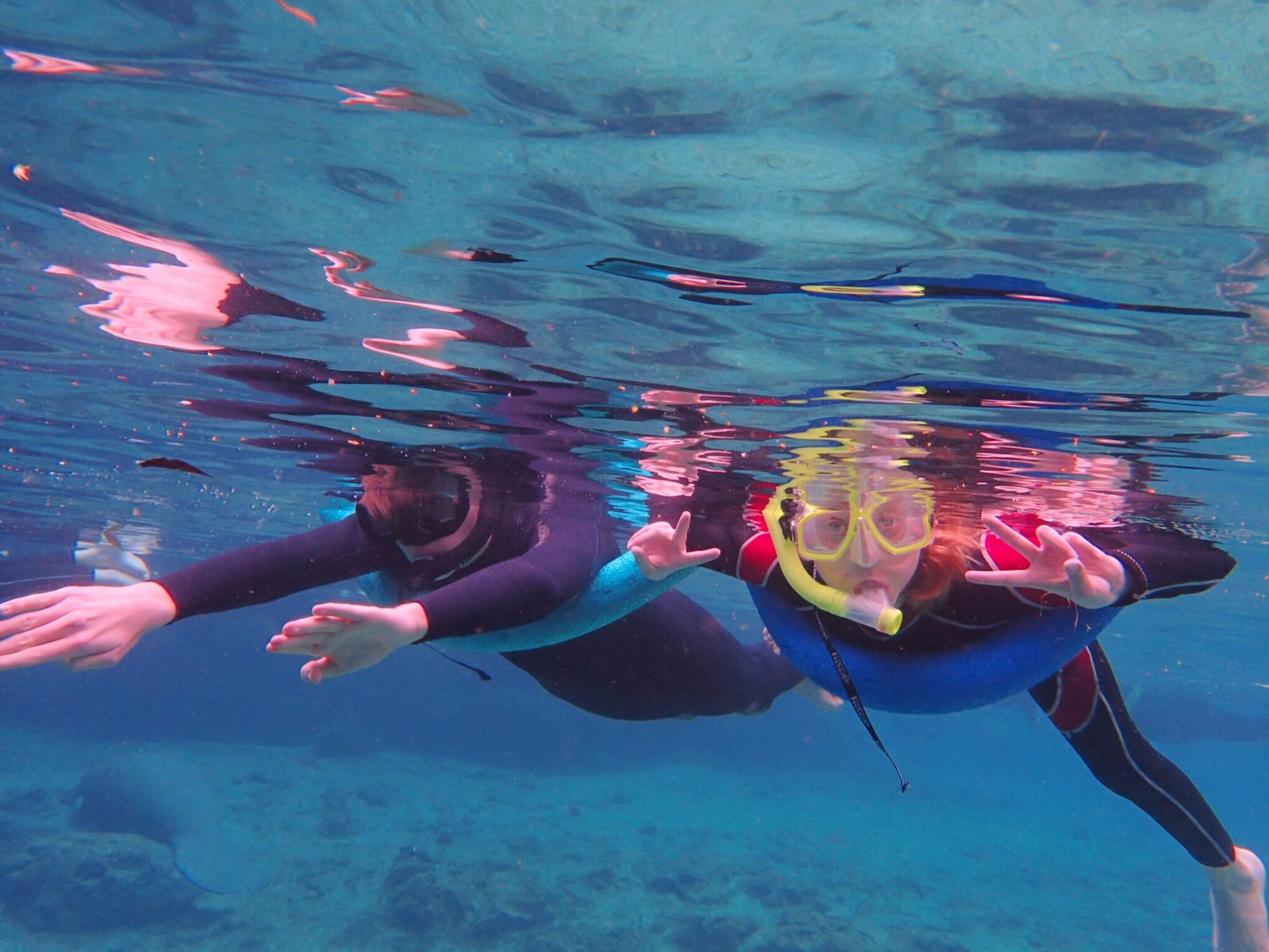 Gulf Coast Expeditions