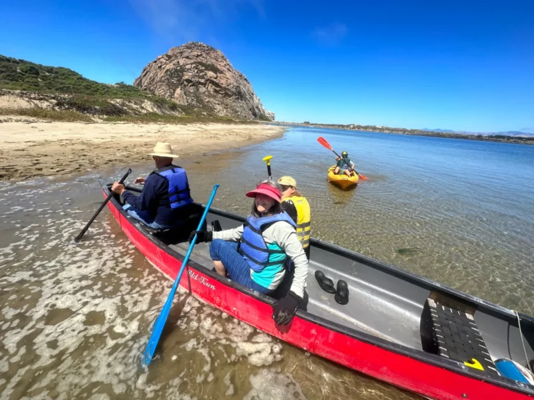 Sub Sea Tours & Kayaks