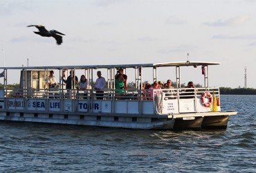 Tarpon Bay Explorers