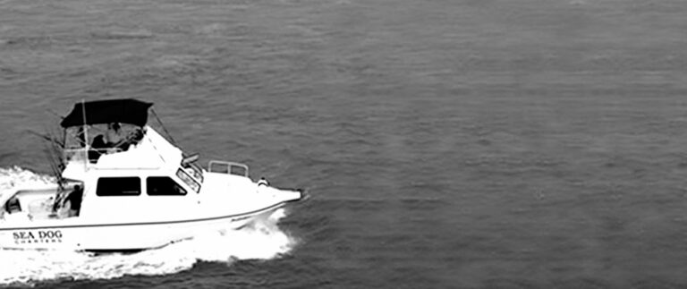 Sea Dog Marathon Fishing Charters