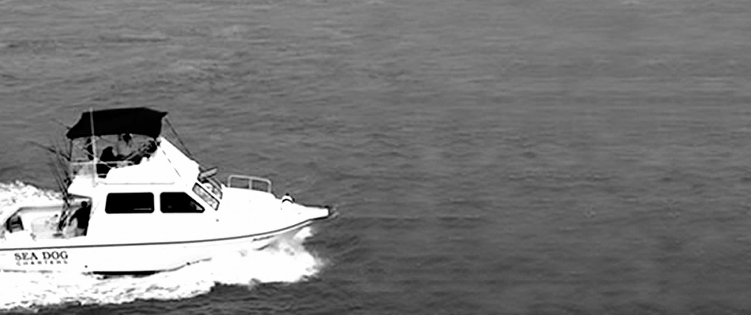 Sea Dog Marathon Fishing Charters