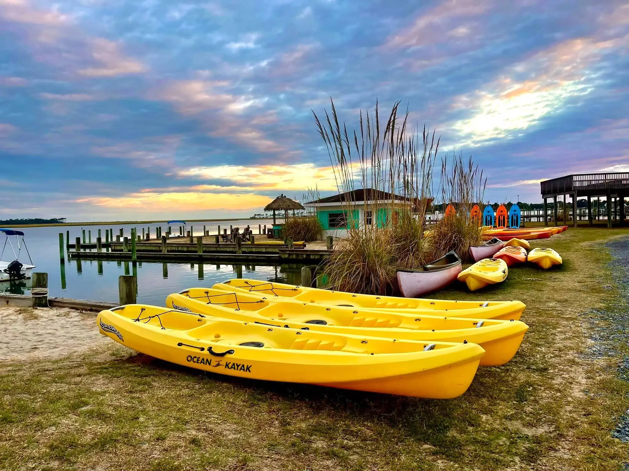 Chincoteague Boat Tours