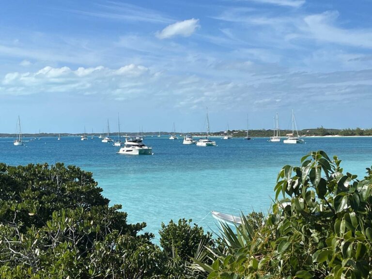 Cedar Cove Marina