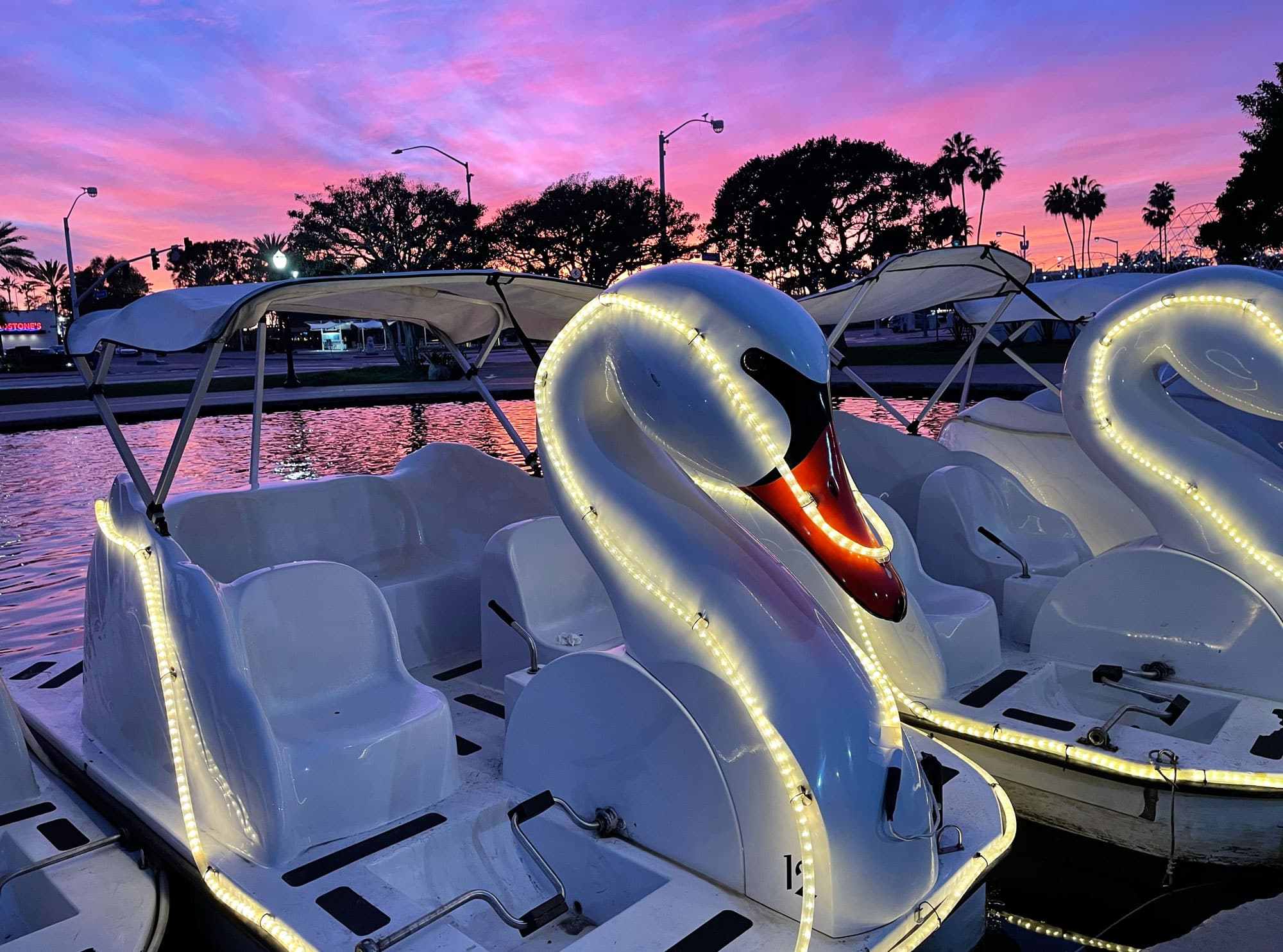 Rainbow Lagoon Swan Boats by Wheel Fun Rentals