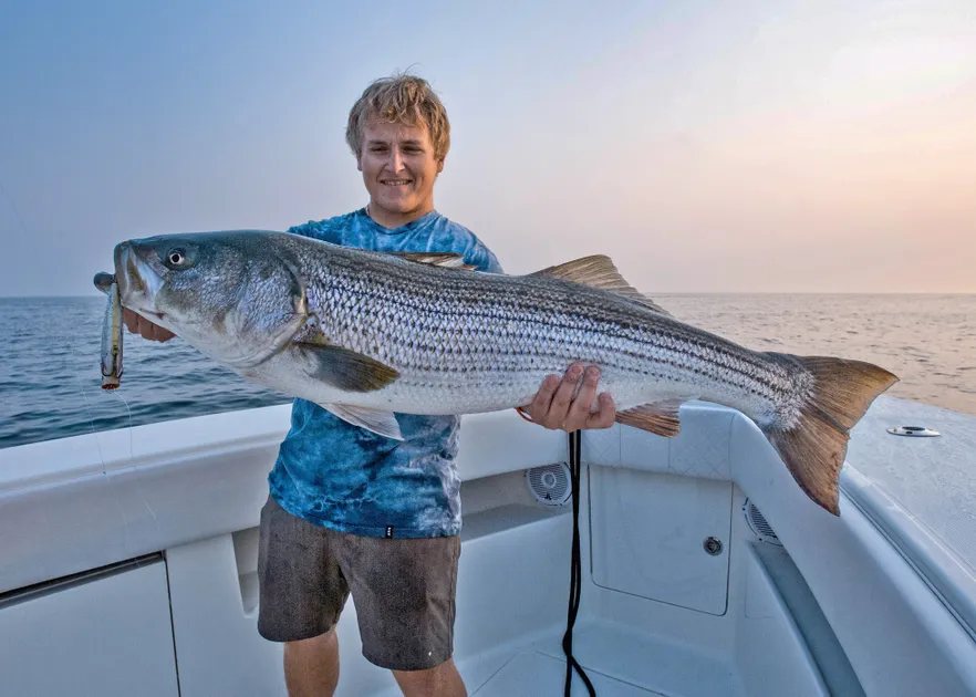 Snap Shot Charters