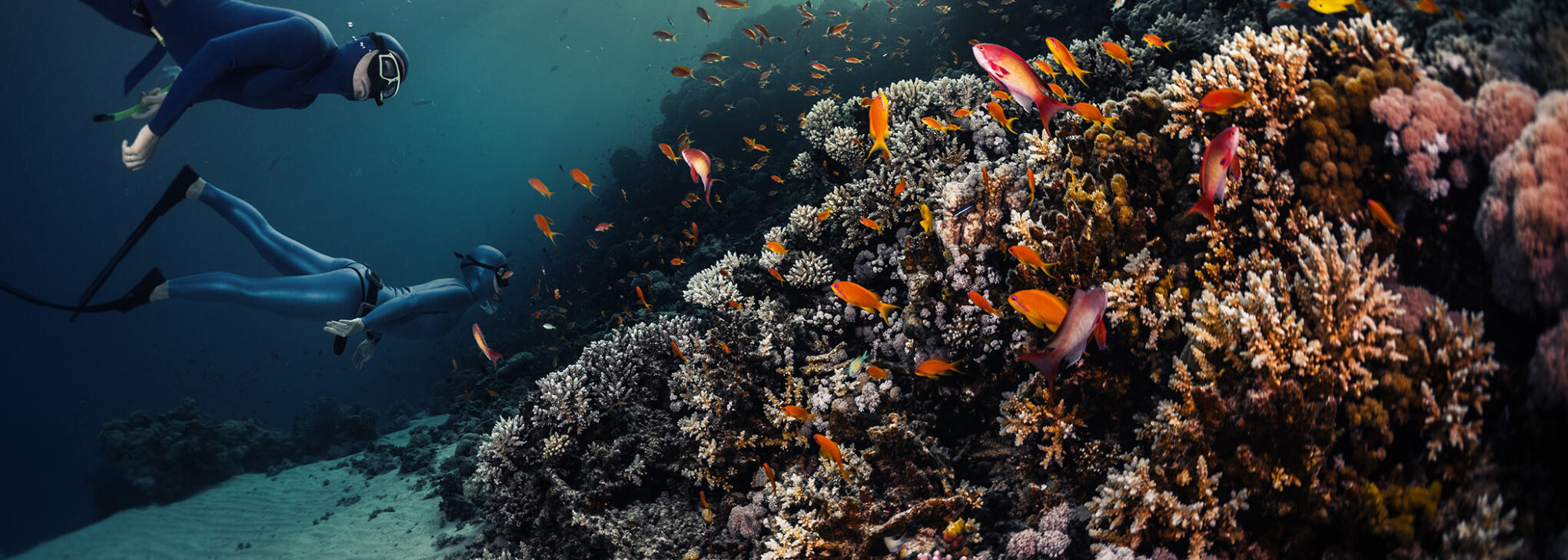 Florida Keys Visitor Center – Key Largo Chamber of Commerce