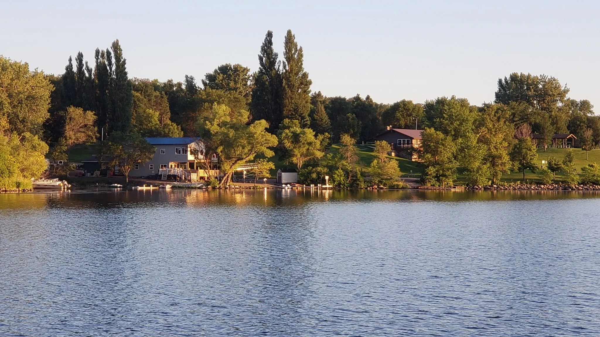 Hungry Pelican at the Crossing