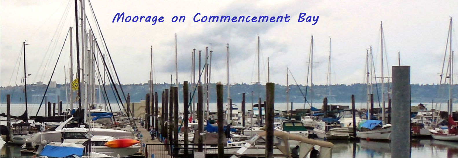 Marina at Brown’s Point