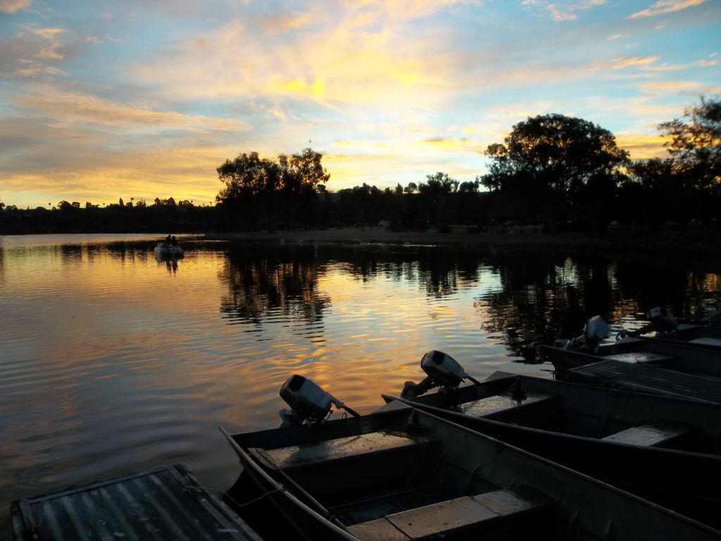 Lake Murray Boat Rental And Concession
