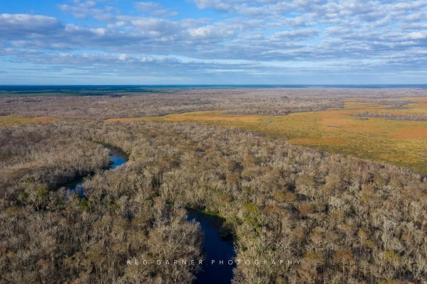 Highland Park Fish Camp
