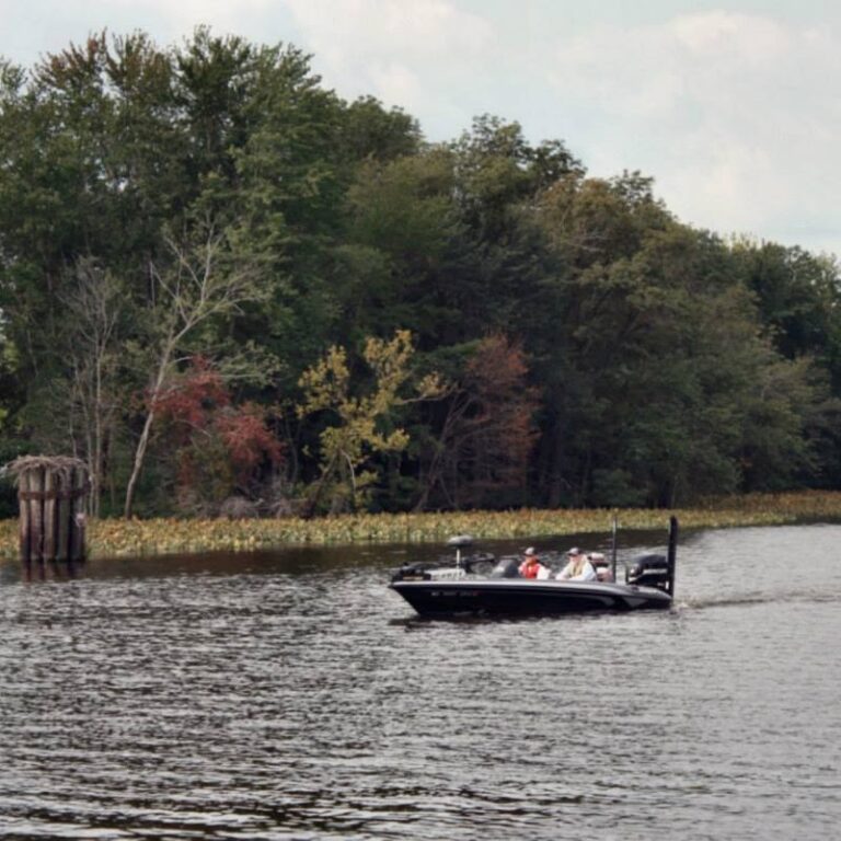 Nanticoke River Yacht Club